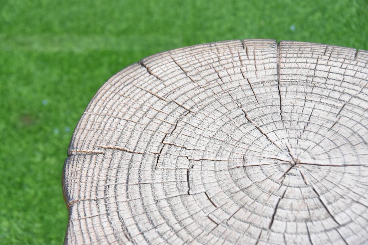 Deksel til 62cm gassflaske - Manchester